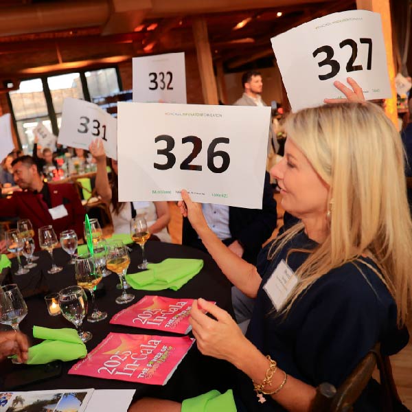 Live Auction Photo